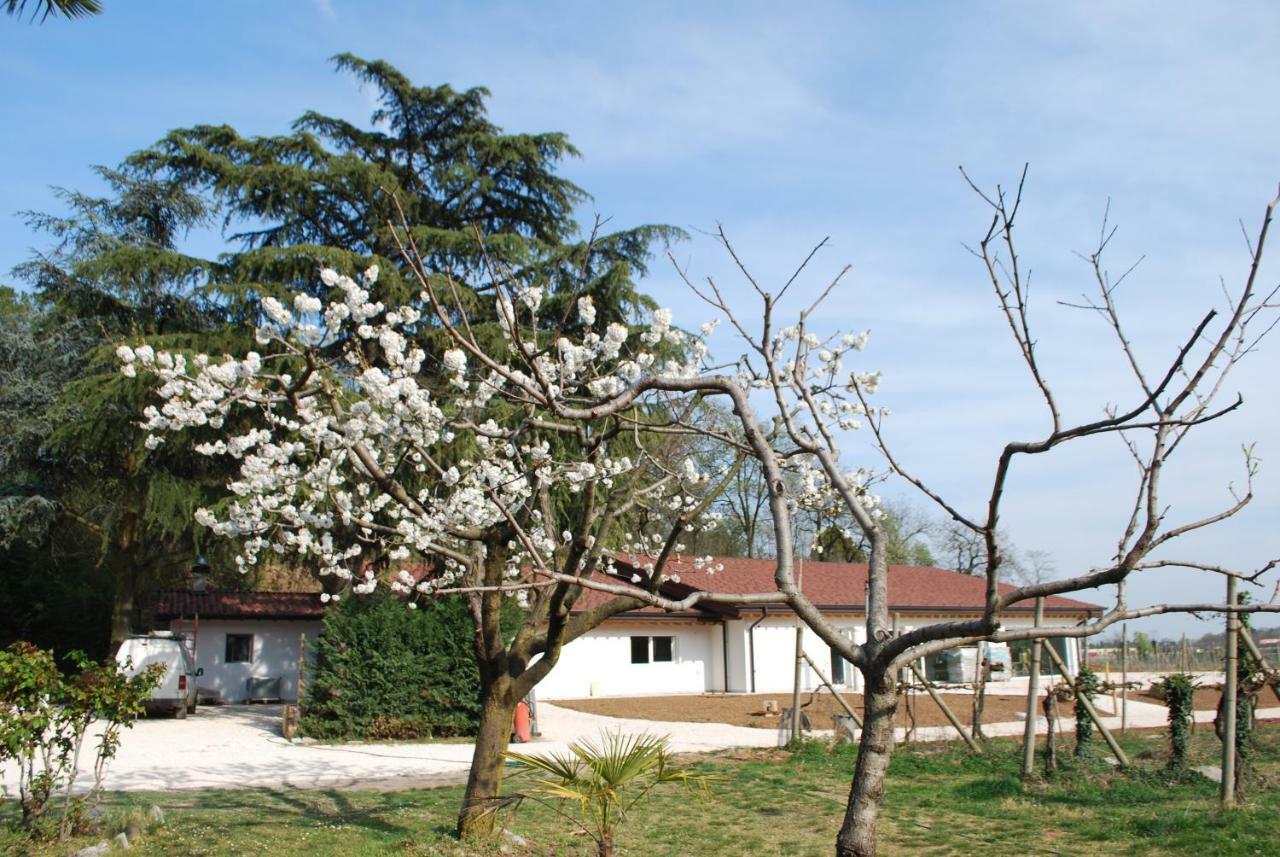 Agriturismo Il Rovere ロナート エクステリア 写真